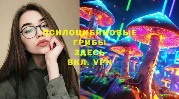 героин Богданович