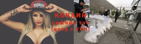 ECSTASY Бородино