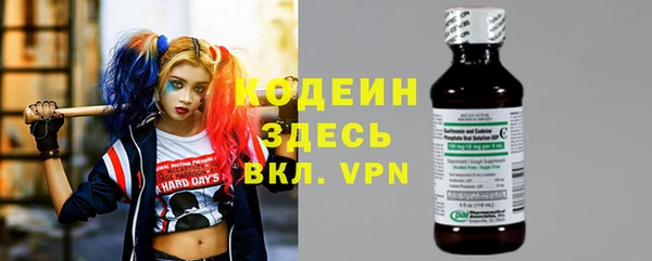 ECSTASY Бородино