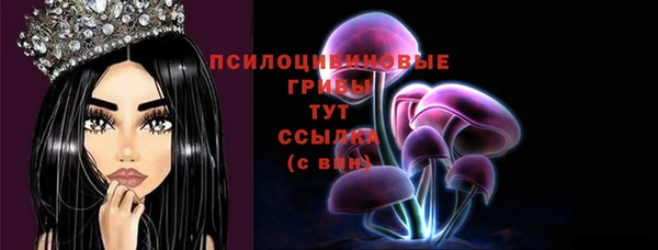 дмт Бугульма