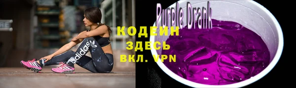шишки Богородицк