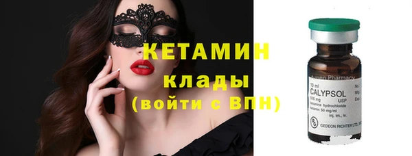 ECSTASY Бородино