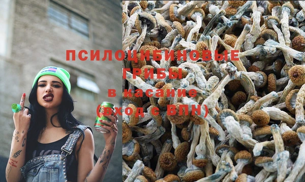 spice Богородск