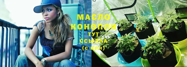 бошки Бронницы