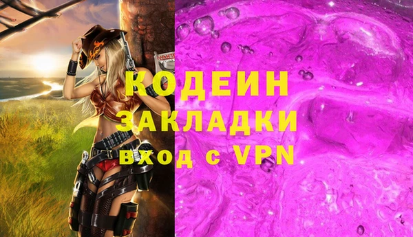 шишки Богородицк