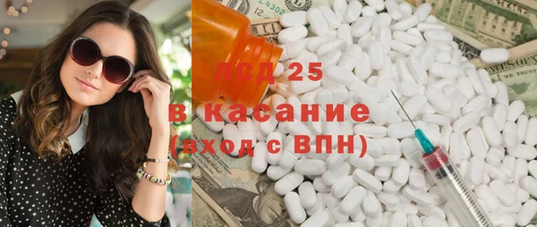 шишки Богородицк