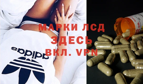 бошки Бронницы