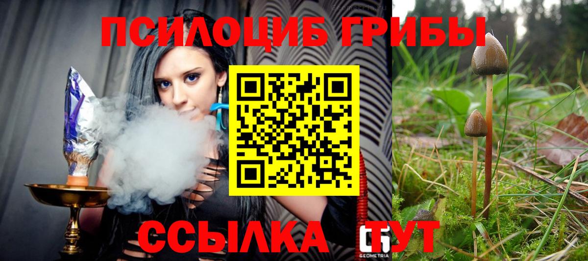 Галлюциногенные грибы GOLDEN TEACHER Среднеуральск